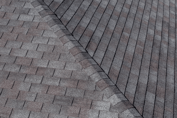 professional roofing service